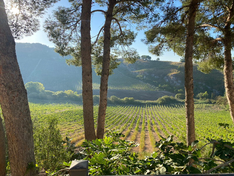 esterno feudo del biviere